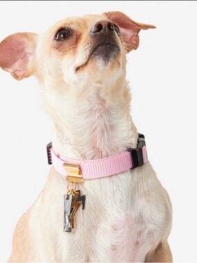 SWAROVSKI pet charm
